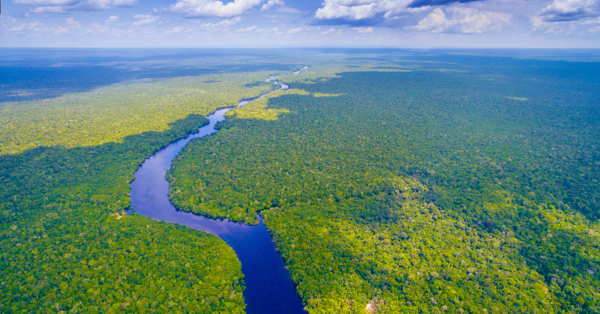 Amazzonia viaggiare in Brasile foresta fluviale visitare