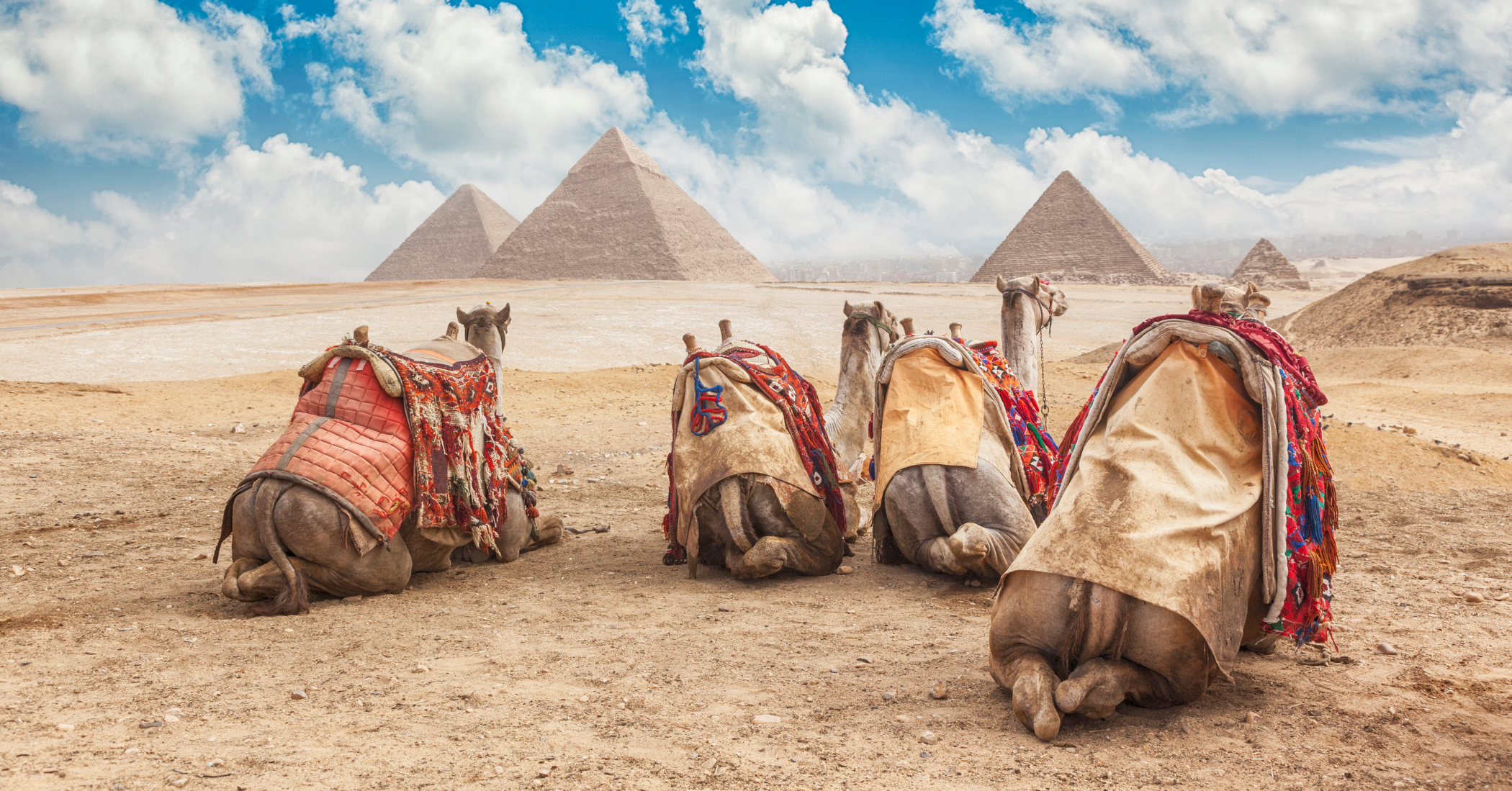 Egitto piramidi deserto cammelli Il Cairo viaggio